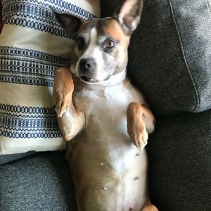 Meet your Posher, Caroline